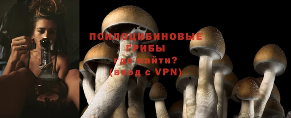 a pvp Корсаков