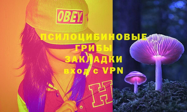a pvp Корсаков
