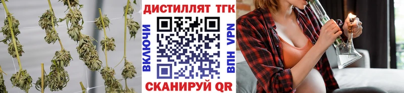 ТГК концентрат  Карабаново 